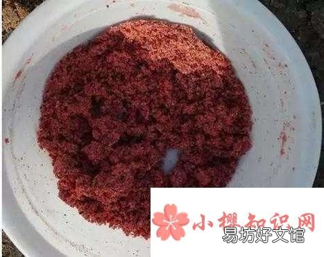 野钓打窝的钓鱼技巧