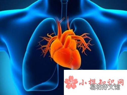 山楂泡水喝有哪些功效?哪些人群不适合喝?