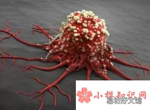 山楂泡水喝有哪些功效?哪些人群不适合喝?