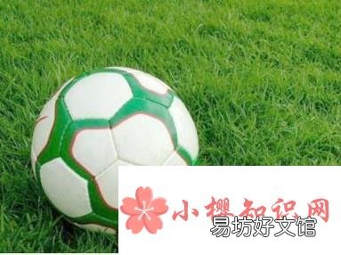 如何选购足球?足球什么牌子好?