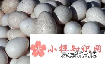火鸡蛋与普通鸡蛋的差异