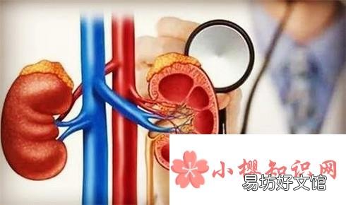 如何利用运动来护肾、养肾