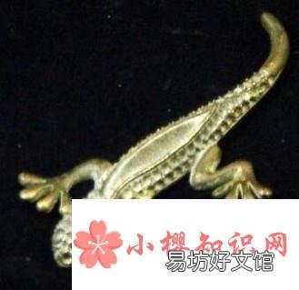 驱赶壁虎的快捷方法