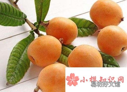 枇杷的保存方法是什么