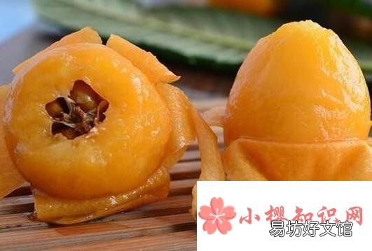 枇杷的保存方法是什么