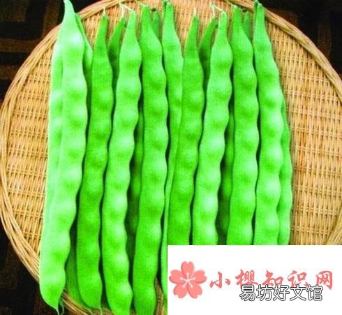 秋冬天如何保存豆角