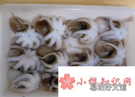 小章鱼怎么处理