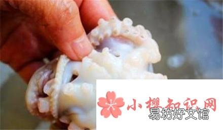 小章鱼怎么处理