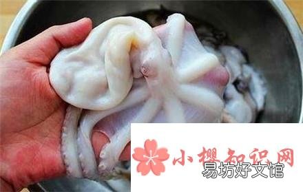 小章鱼怎么处理