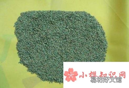吊顶有老鼠怎么办呢?