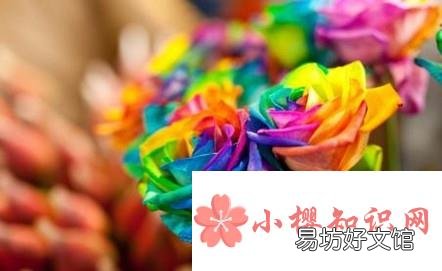 七彩玫瑰花语是什么七彩玫瑰代表什么意思