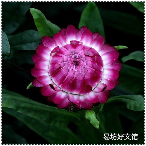 无懈可击之蓝色梦想在吗看 无懈可击之蓝色梦想演员表