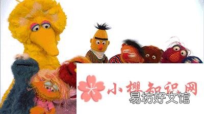 kaws和芝麻街的关系是什么?