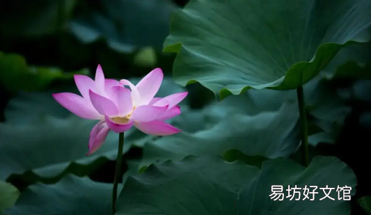 三伏天吃什么蔬菜和水果好 2022年三伏天是好久