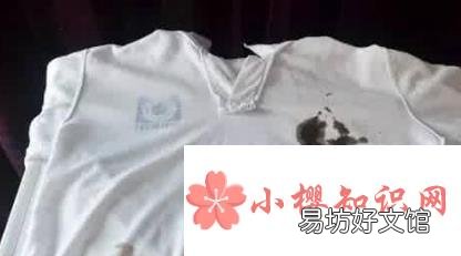 衣服上的墨水怎么洗掉