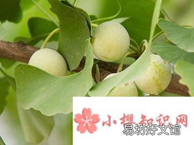 重阳名诗九月九日忆山东兄弟,山东是哪儿?