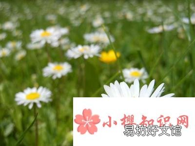 重阳名诗九月九日忆山东兄弟,山东是哪儿?