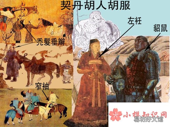 胡服最早由谁引入中原？