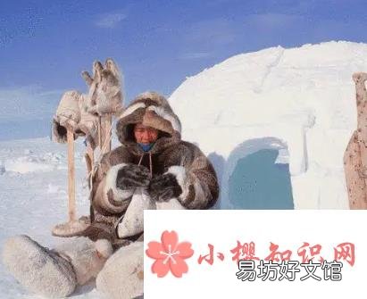 因纽特人属于哪个国家