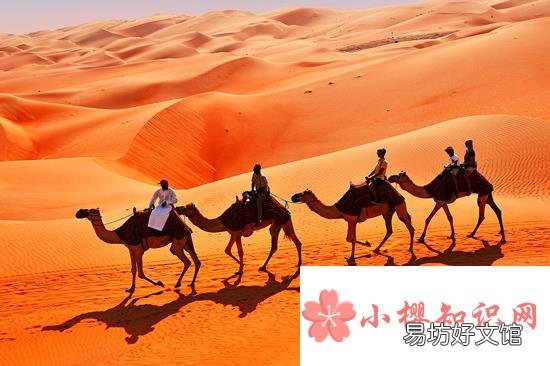 瀚海是指什么？