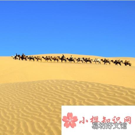 瀚海是指什么？
