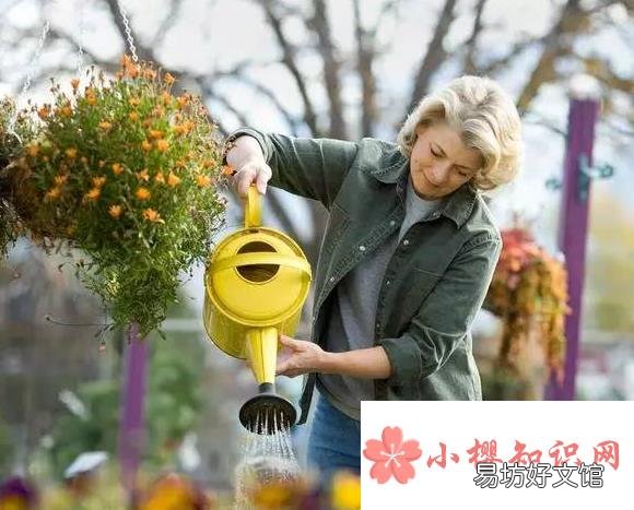为什么夏天中午不能浇花？