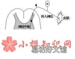 为什么鱼死了还会动?