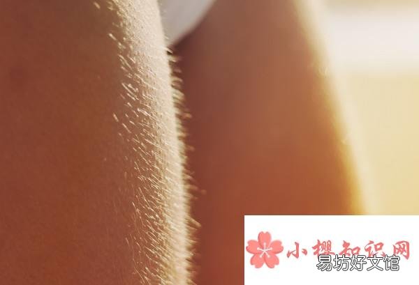 冷了身上为什么会起鸡皮疙瘩？