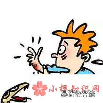 被毒蛇咬伤后能不能让同伴吸出毒液?