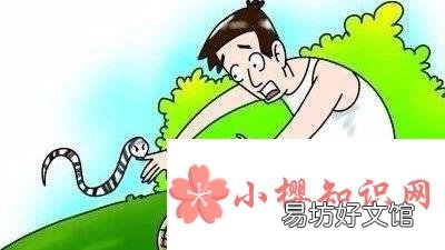 被毒蛇咬伤后能不能让同伴吸出毒液?