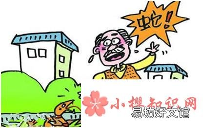 被毒蛇咬伤后能不能让同伴吸出毒液?