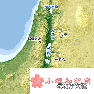 死海是海吗?