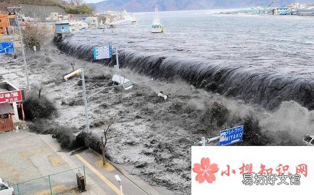发生地震最频繁的是哪个国家?