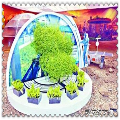 一番用心什么意思 用心何在是什么意思