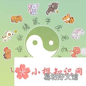 天肖有哪些生肖?