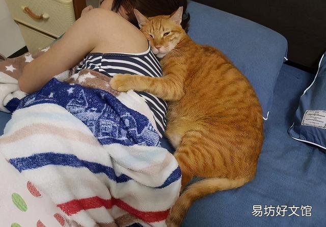 和猫一起睡觉的危害(和猫一起睡觉的危害有哪些)