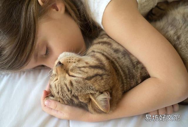 和猫一起睡觉的危害(和猫一起睡觉的危害有哪些)