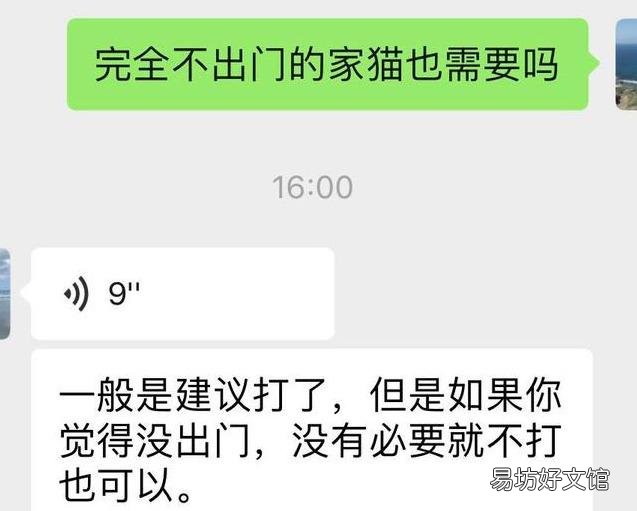 猫要打狂犬疫苗吗(家里养的猫要打狂犬疫苗吗)