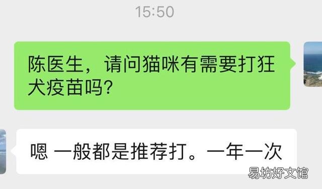 猫要打狂犬疫苗吗(家里养的猫要打狂犬疫苗吗)