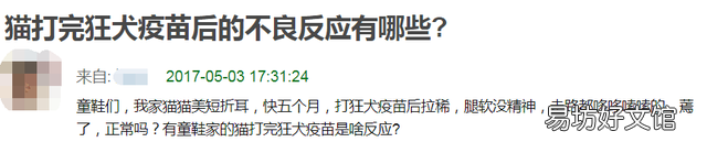 猫要打狂犬疫苗吗(家里养的猫要打狂犬疫苗吗)