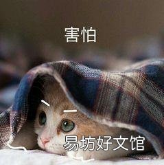 猫要打狂犬疫苗吗(家里养的猫要打狂犬疫苗吗)