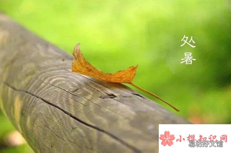 处暑天气还热吗?