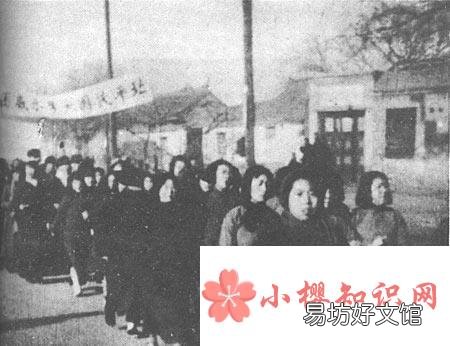 “就是带头作用”这句话是谁说的?