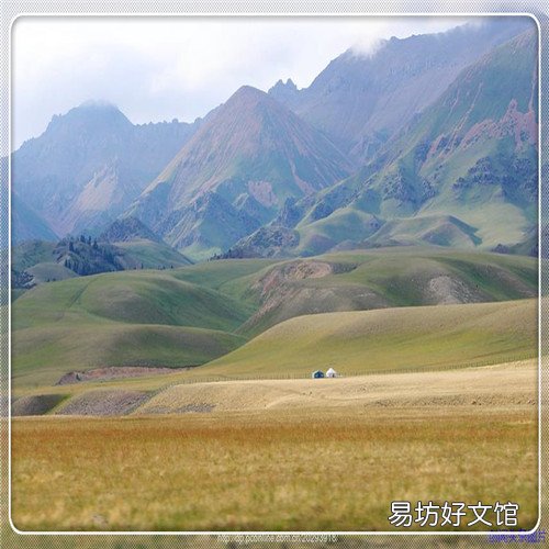 北京最大的果树苗批发市场 大柳树市场