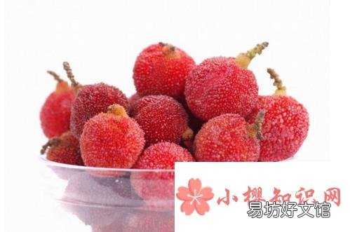 杨梅里有虫子怎么办