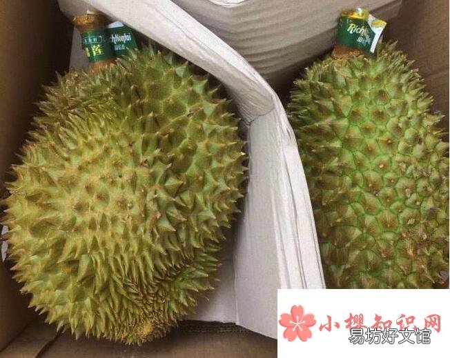 榴莲不熟怎么办?