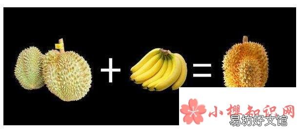 榴莲不熟怎么办?