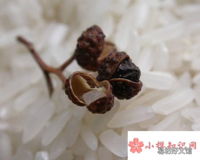 大米生虫了怎么办？