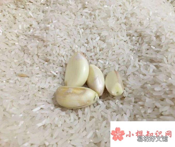 大米生虫了怎么办？