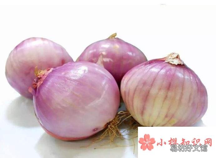 怎么切洋葱丝